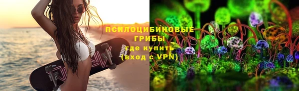 дмт Богородск
