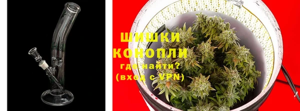 тгк Богданович