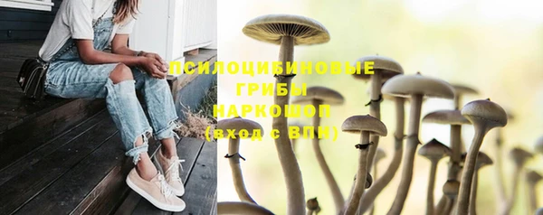 прущие крисы Бугульма
