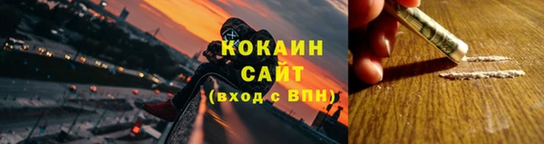 дмт Богородск