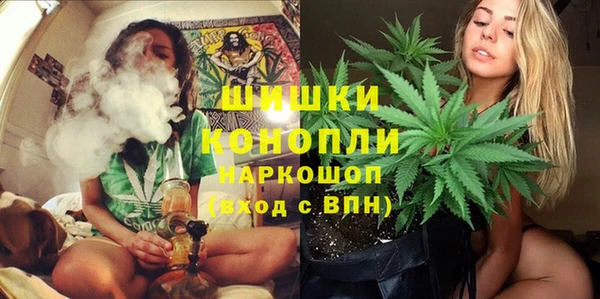 тгк Богданович