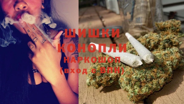 spice Бородино