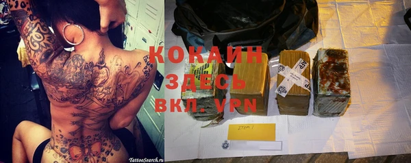 тгк Богданович