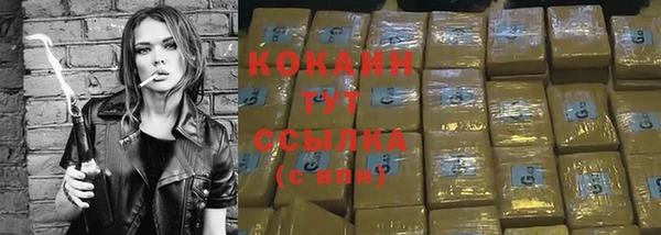 тгк Богданович