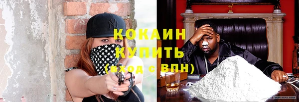 тгк Богданович