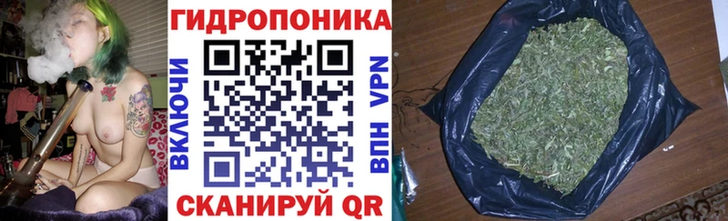Марихуана Bruce Banner  купить наркоту  Мезень 